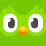 Tải Duolingo MOD APK (Mở Khóa Premium) v6.40.3