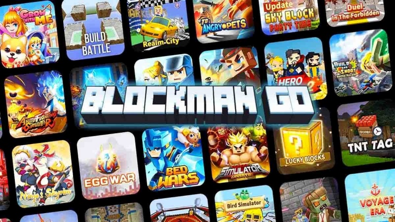 Hack Blockman Go