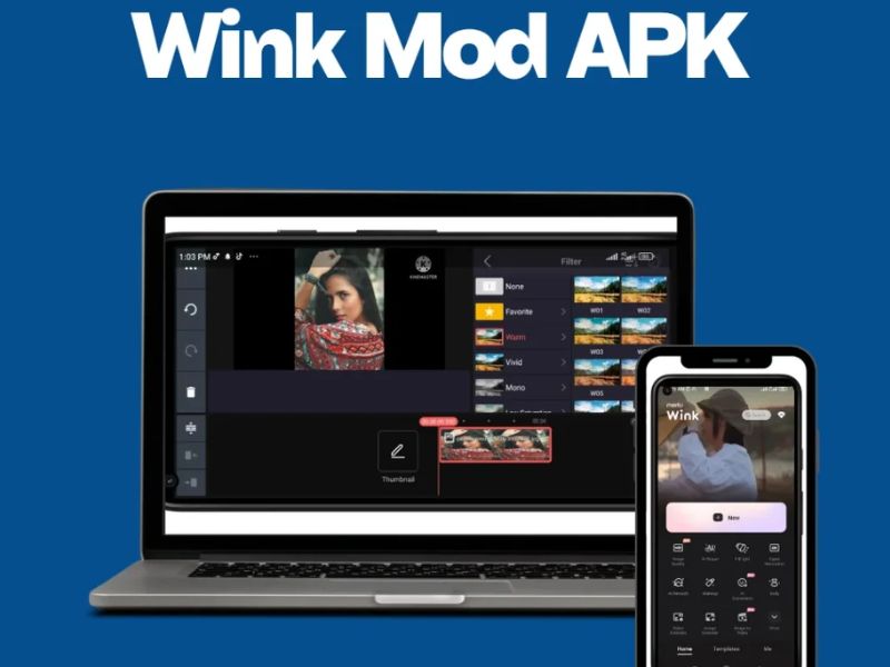Tính Năng Mod Có Trong Phiên Bản Wink Mod Apk